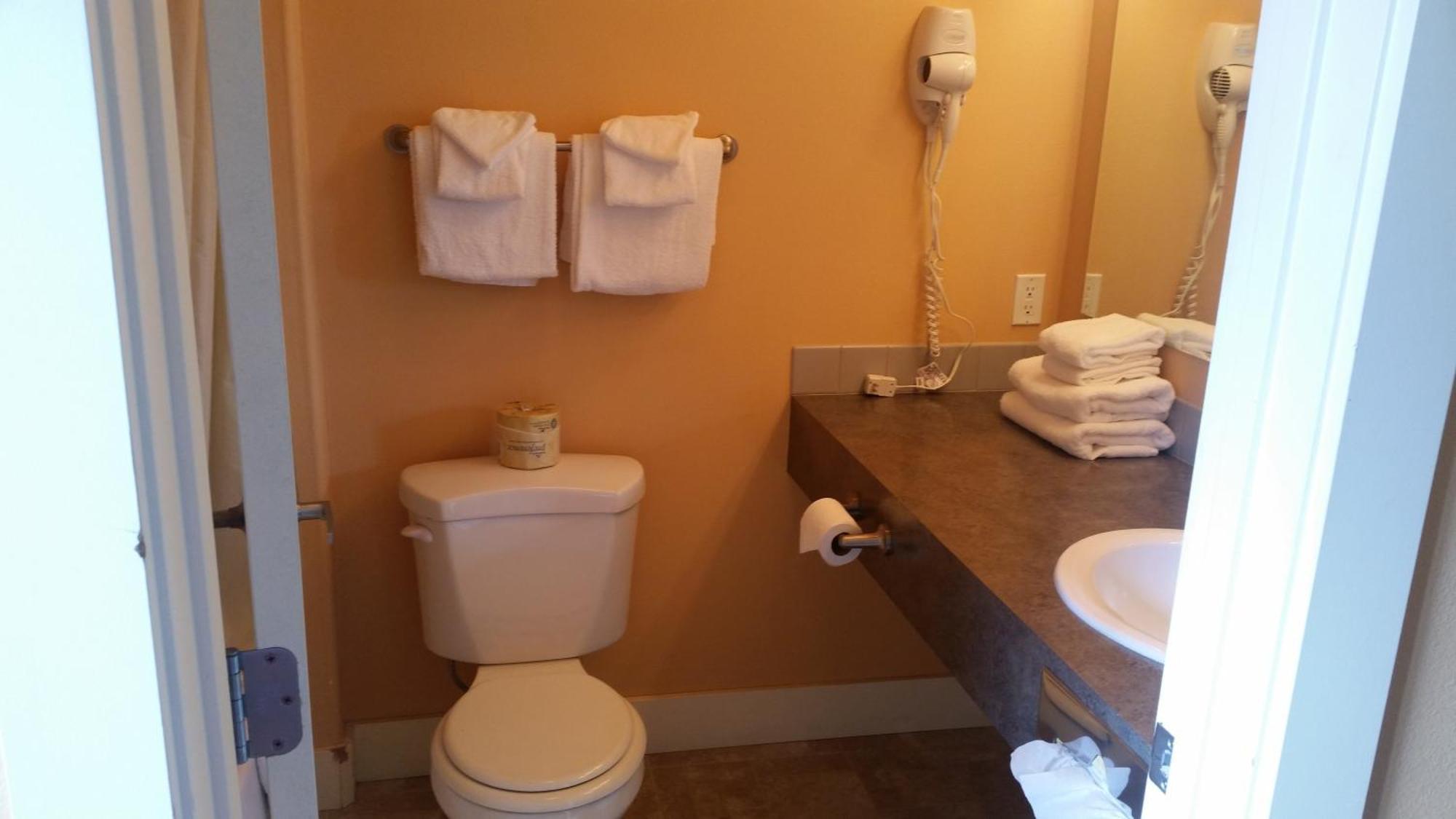 Teton Valley Motel ビクター 部屋 写真